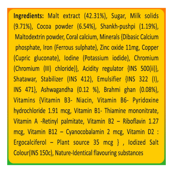 Patanjali Herbal Powervita Plus - Refill  500 g - Image 3