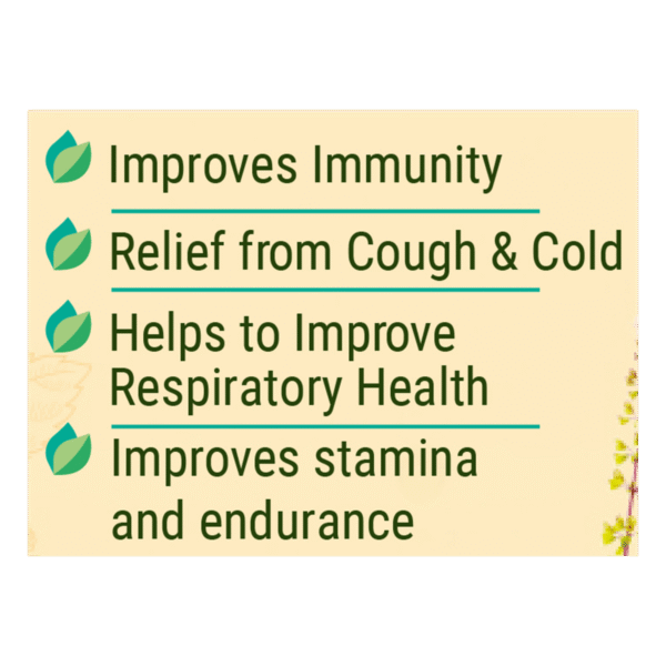 Patanjali Shila Tulsi Drop  30 ml - Image 2